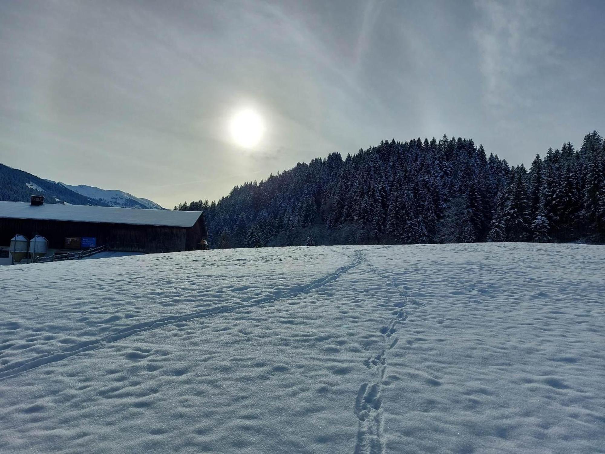 Vila Schwaighof Oberau Exteriér fotografie