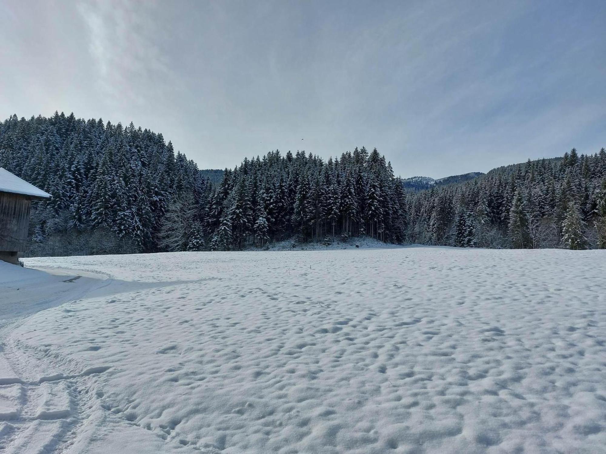 Vila Schwaighof Oberau Exteriér fotografie