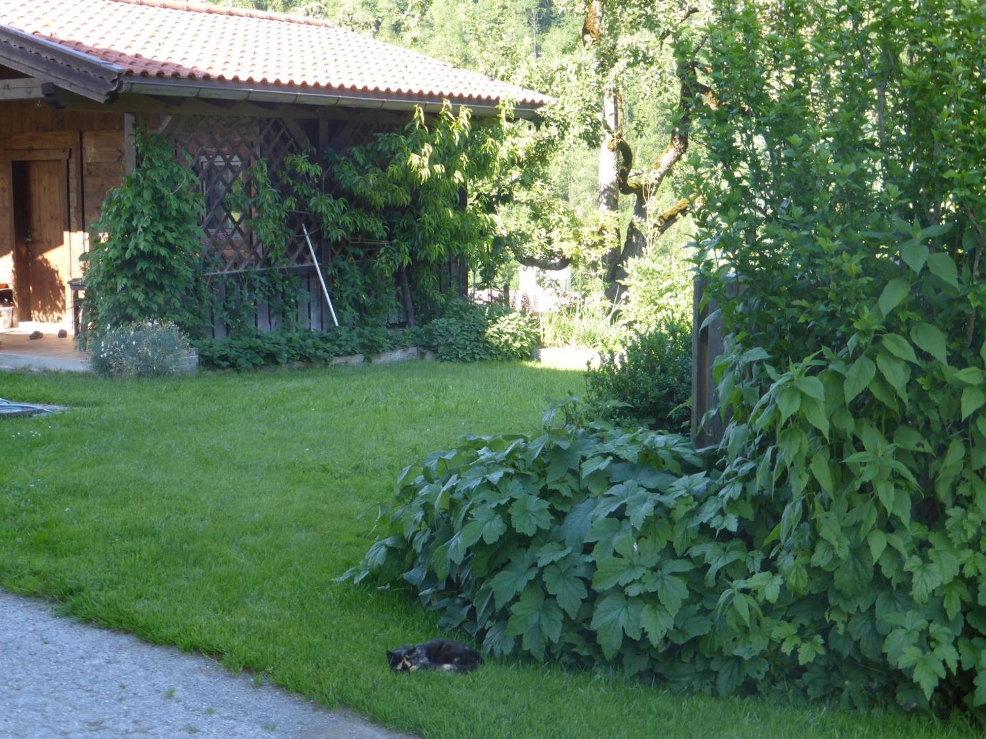 Vila Schwaighof Oberau Exteriér fotografie